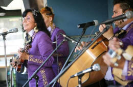 Mariachi Tesoro images/tesoro-onstage
